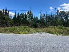 1-Acre Pristine Cabin/Homestead Lot – Cormack, NL - Photo 2