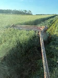 Oat greenfeed - Photo 4