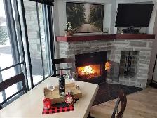 condo loft. a louer au mont Sté Anne