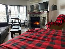 condo loft. a louer au mont Sté Anne - Photo 5