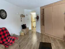 condo loft. a louer au mont Sté Anne - Photo 6