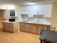 Bright & clean furnished basement private BR for rent in NW - Photo 4