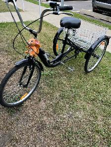 Trycykle bike - Photo 2