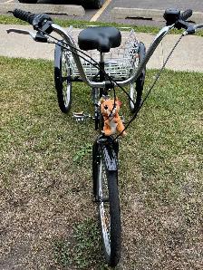 Trycykle bike - Photo 4