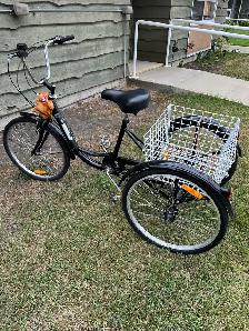 Trycykle bike - Photo 5