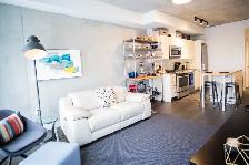 Luxury Condo 1  Den Unit For Rent In Downtown Ottawa Oct 1St - Photo 4