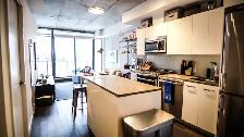 Luxury Condo 1  Den Unit For Rent In Downtown Ottawa Oct 1St - Photo 6