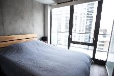 Luxury Condo 1  Den Unit For Rent In Downtown Ottawa Oct 1St - Photo 10