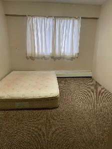 1 BHK Convenient Location in Metrotown - Photo 7