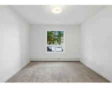 RENOVATED 2 Bed 2 Bath in South Terwillegar! - Photo 4