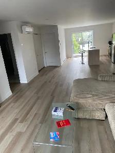 Chambre à louer Longueuil (près collège français et Blvd Nobert) - Photo 3