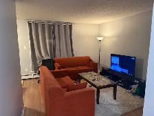 Room for Rent – One Month Only – October - Photo 2