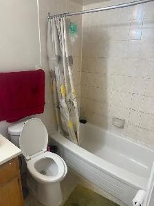Room for Rent – One Month Only – October - Photo 5
