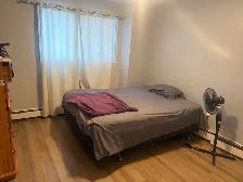 Room for Rent – One Month Only – October - Photo 6