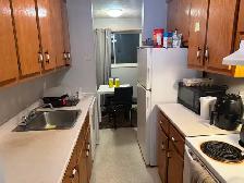 Room for Rent – One Month Only – October - Photo 8
