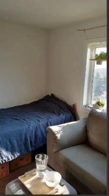 Young Professional,New Home,Parking,Eglinton LRT(Caledonia STN) - Photo 3
