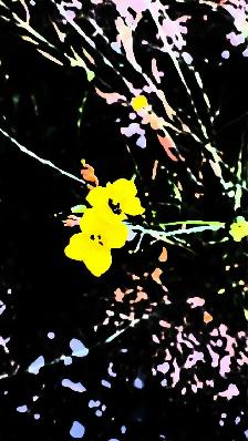 Movies, Video, Film and Graphic Design - Photo 9