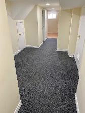 Bright  2 Bdrm Basement Apartment – Young/Sheppard - Photo 6