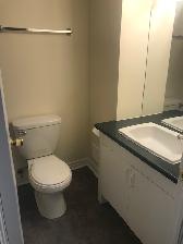 Bright  2 Bdrm Basement Apartment – Young/Sheppard - Photo 7