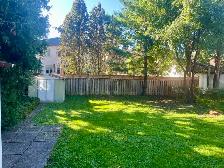 Bright  2 Bdrm Basement Apartment – Young/Sheppard - Photo 8