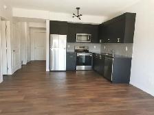 Walkout Two Bedroom Legal Basement suite For Rent - Photo 2