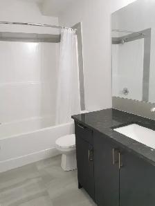 Walkout Two Bedroom Legal Basement suite For Rent - Photo 3