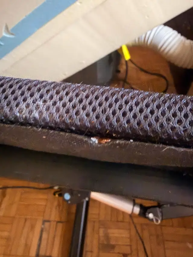 Pestcontrol ️