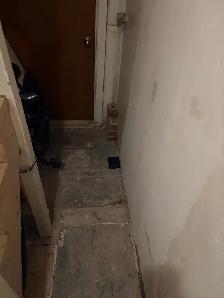 Pestcontrol ️ - Photo 3
