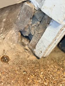 Pestcontrol ️ - Photo 4