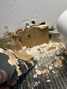 Pestcontrol ️ - Photo 7