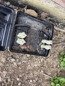 Pestcontrol ️ - Photo 8