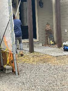 Pestcontrol ️ - Photo 9