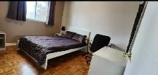 chambre à louer