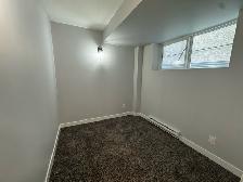 2 Bed 1 Bath Lower Duplex Unit For Rent In Rockwood - Photo 13