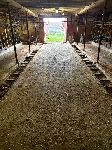 Barn And 55 Acres Of Pasture For Winter Cattle Rental - Photo 10