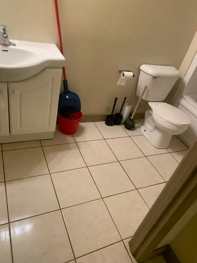 Professional Cleaning