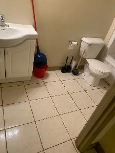 Professional Cleaning