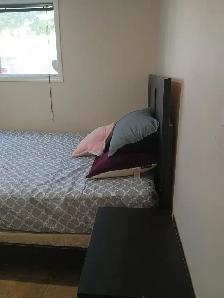 Room available for rent - Photo 4