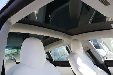 2020 Tesla MODEL 3 - Photo 19