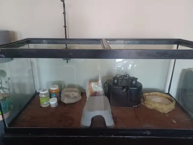 Tank for reptiles