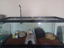 Tank for reptiles - Photo 2