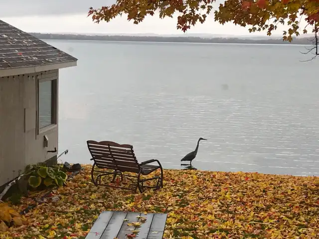 3 Bedroom on Lake Simcoe in Orillia. Weekly/Monthly until June