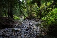 PANORAMIC VIEWS ON 45.61 ACRES! - Photo 4