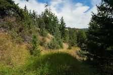 PANORAMIC VIEWS ON 45.61 ACRES! - Photo 8