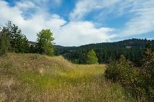 PANORAMIC VIEWS ON 45.61 ACRES! - Photo 9