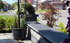 Kota Black Straight Edge Coping- Only $15 per sqft