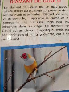 pinsons perruches tourterelles avec cages speciaux - Photo 2