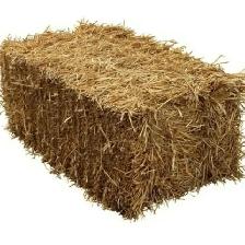 Straw For Sale