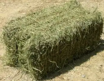Hay Bales For Sale