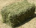 Hay Bales For Sale